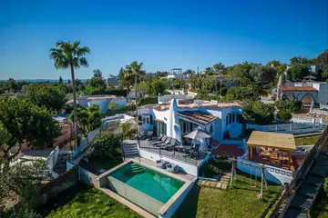 The house, pool and garden from the air